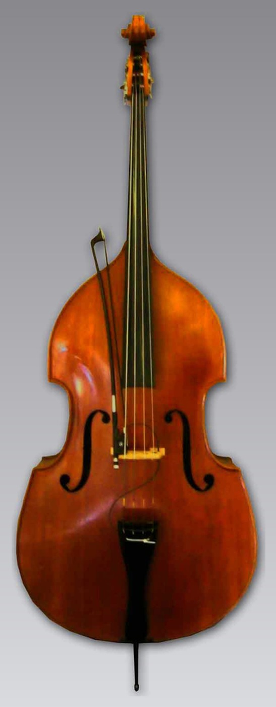 Double Bass